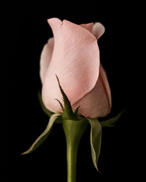 Doris Jean Fritts Matthews