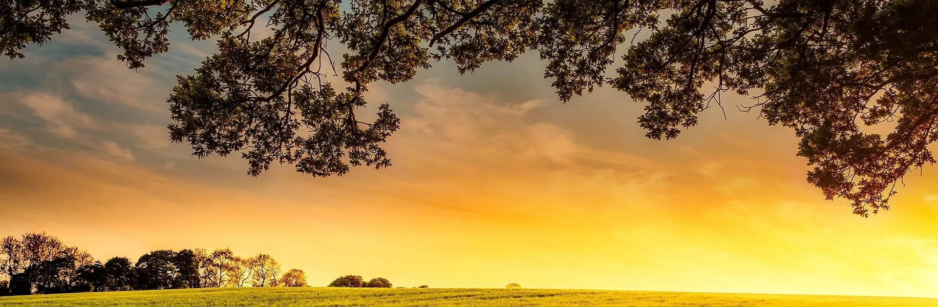 Meadows Funeral Home, Inc. Funeral Home & Crematory